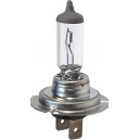 H7 12V 55W