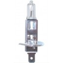 H1 24V 100W