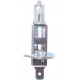H1 24V 100W